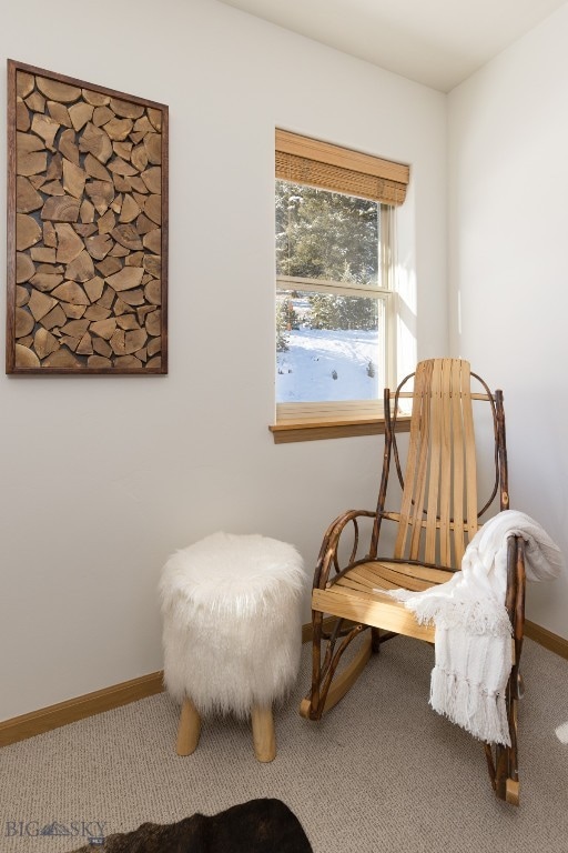 living area with carpet floors