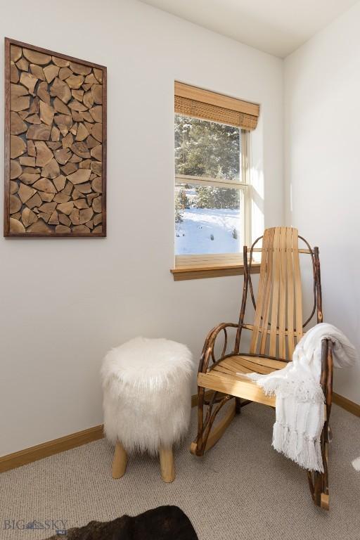 27 Antler Drop Ct, Big Sky, MT 59716 - photo 45