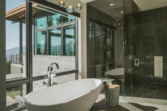 full bath featuring a healthy amount of sunlight, a stall shower, a mountain view, and a freestanding bath