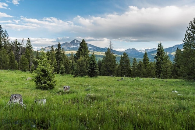 TBD Jack Creek Rd, Big Sky, MT 59729 - photo 2