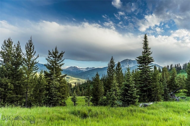 TBD Jack Creek Rd, Big Sky, MT 59729 - photo 3