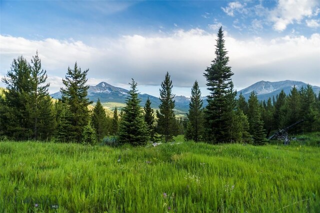TBD Jack Creek Rd, Big Sky, MT 59729 - photo 5