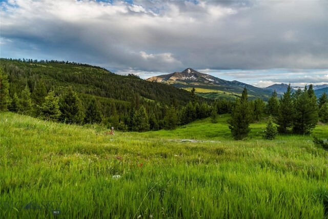TBD Jack Creek Rd, Big Sky, MT 59729 - photo 7