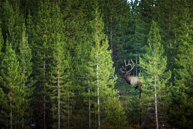 TBD Jack Creek Rd, Big Sky, MT 59729 - photo 8