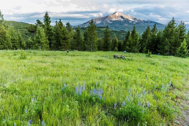 TBD Jack Creek Rd, Big Sky, MT 59729 - photo 10