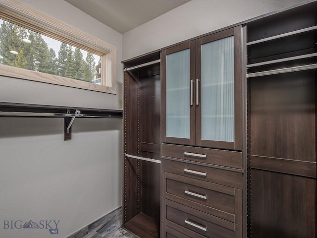 walk in closet featuring dark wood-type flooring