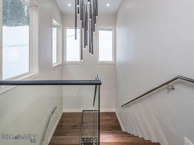 staircase with wood-type flooring