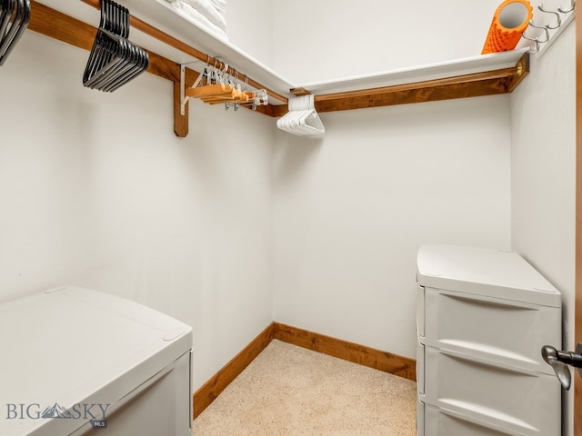 walk in closet featuring carpet floors