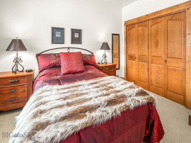 bedroom featuring carpet and a closet