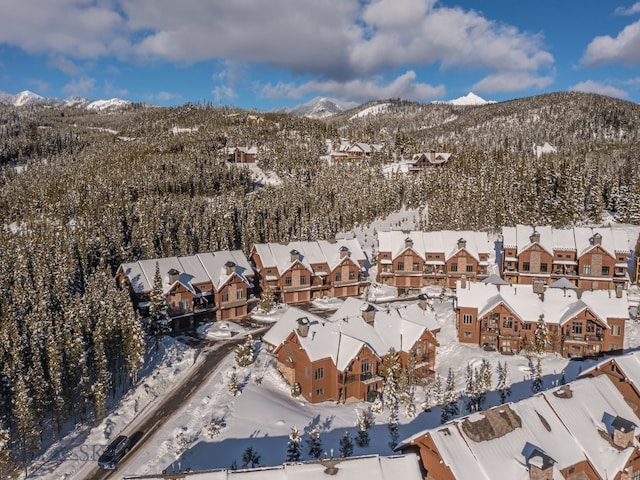 snowy aerial view with a mountain view