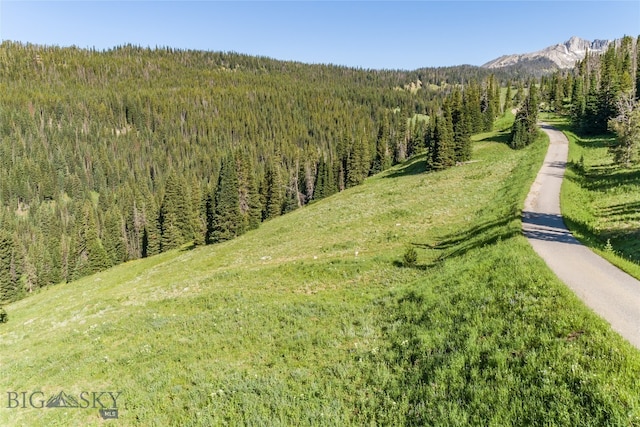 Listing photo 3 for LOT16 Beehive Basin Rd, Big Sky MT 59716