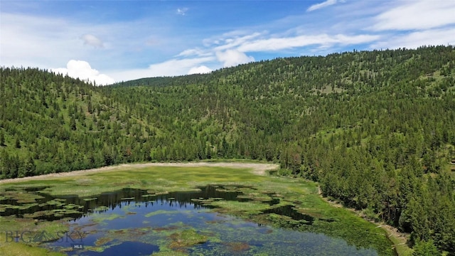 property view of mountains with a water view