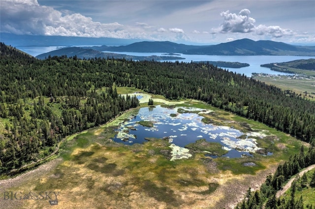 drone / aerial view featuring a water and mountain view