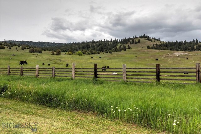 view of yard featuring a rural view