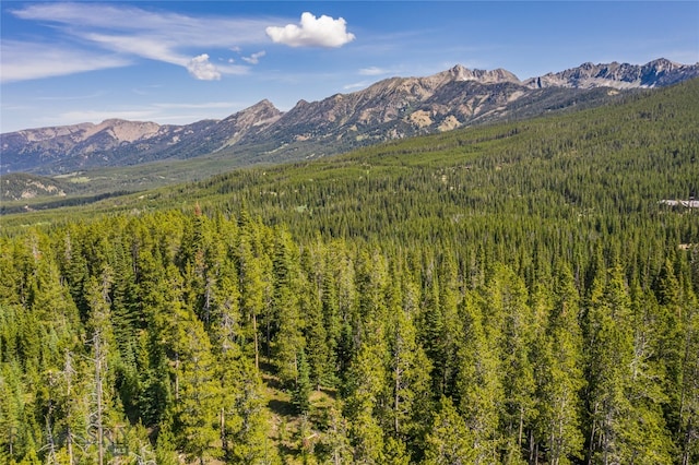 Listing photo 2 for 14 Beehive Basin Rd, Big Sky MT 59716