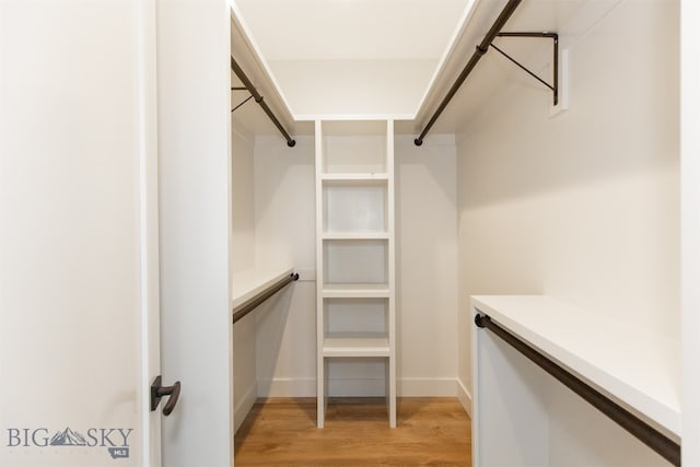 walk in closet featuring light hardwood / wood-style flooring