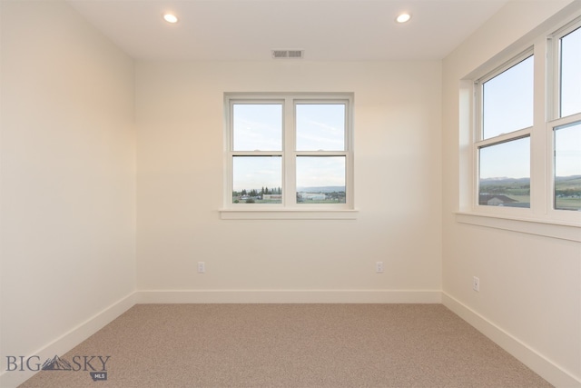 carpeted empty room with a wealth of natural light