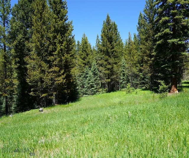 Listing photo 3 for TBD Skywood Rd, Big Sky MT 59716