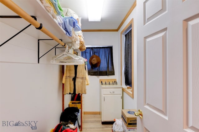 spacious closet with light hardwood / wood-style flooring