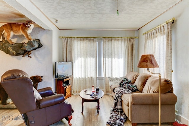 living room with light hardwood / wood-style floors and crown molding