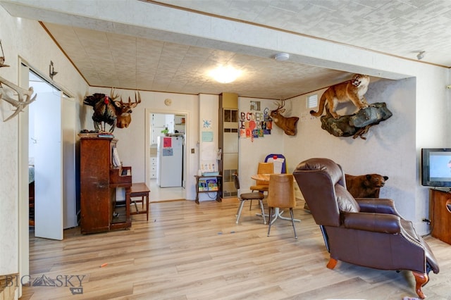 living room featuring light hardwood / wood-style flooring