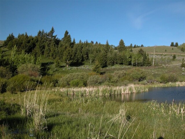 LOT46A-1 Sun W Rnch, Cameron, MT 59720