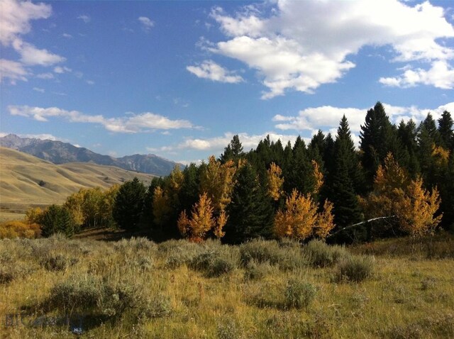 LOT46A-1 Sun W Rnch, Cameron, MT 59720