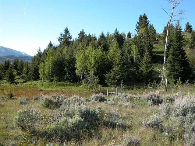 LOT46A-1 Sun W Rnch, Cameron, MT 59720