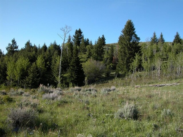 LOT46A-1 Sun W Rnch, Cameron, MT 59720