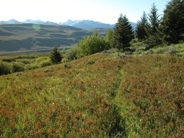 LOT46A-1 Sun W Rnch, Cameron, MT 59720