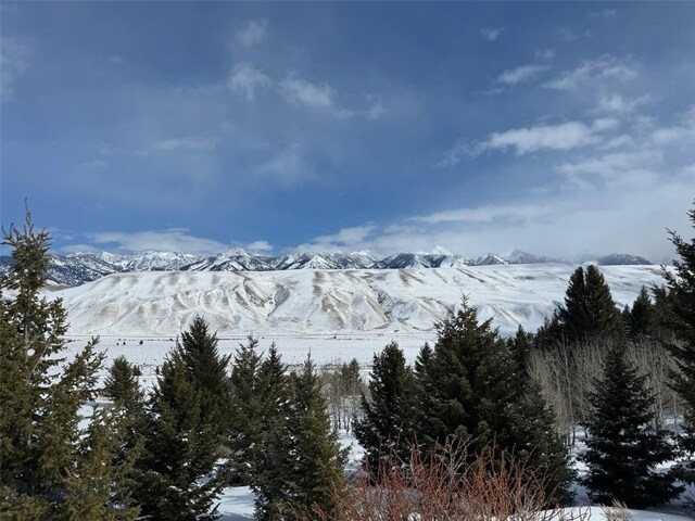 LOT46A-1 Sun W Rnch, Cameron, MT 59720