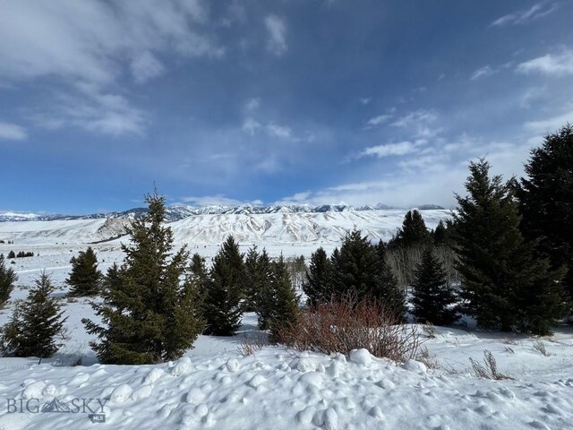 LOT46A-1 Sun W Rnch, Cameron, MT 59720