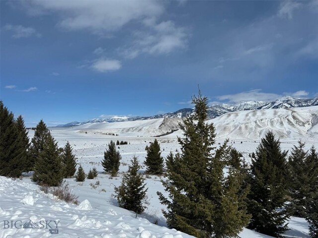 LOT46A-1 Sun W Rnch, Cameron, MT 59720