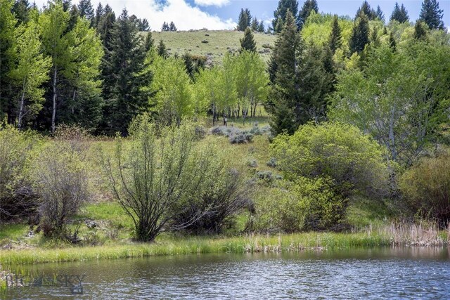 LOT46A-1 Sun W Rnch, Cameron, MT 59720