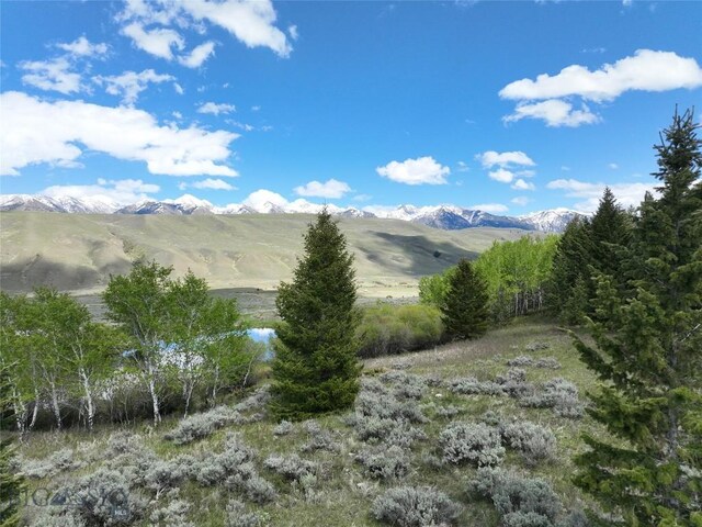 LOT46A-1 Sun W Rnch, Cameron, MT 59720