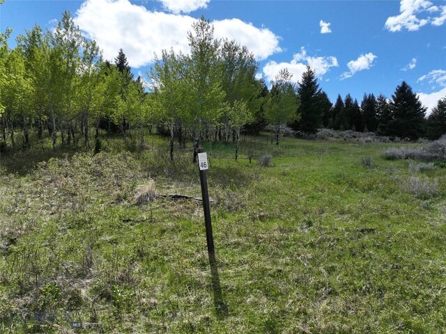 LOT46A-1 Sun W Rnch, Cameron, MT 59720