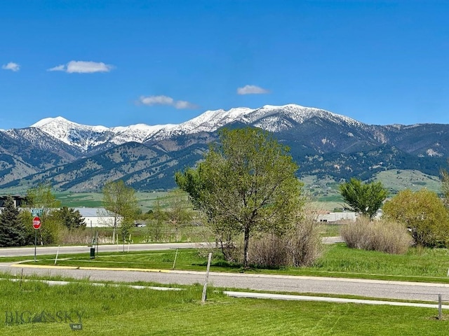 3371 Blackbird Dr, Bozeman, MT 59718 - photo 3