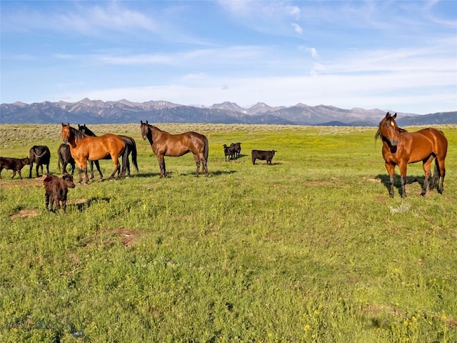 TBD Elk Creek Rd, Wilsall MT, 59086 land for sale