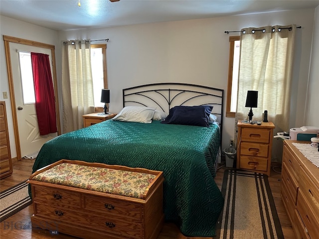 bedroom featuring dark hardwood / wood-style floors and multiple windows