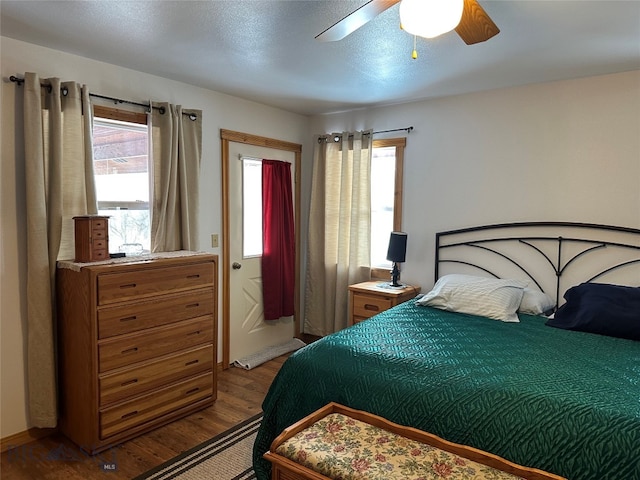 bedroom featuring dark hardwood / wood-style flooring, ceiling fan, and multiple windows