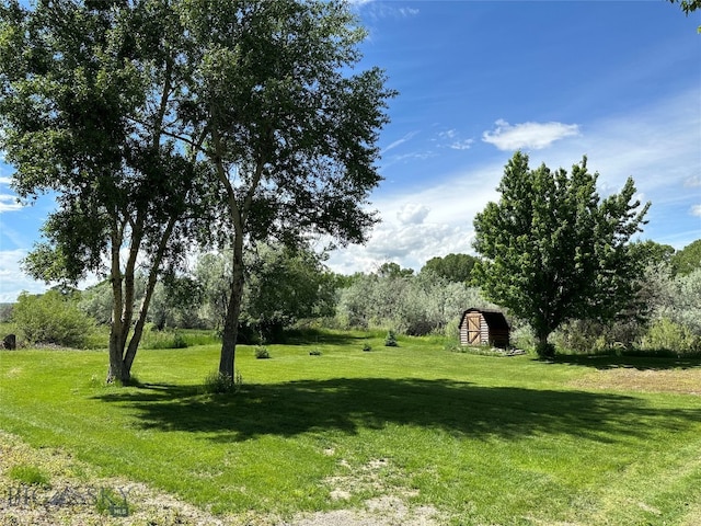 view of yard featuring an outdoor structure