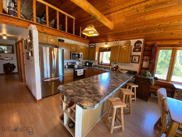 kitchen featuring appliances with stainless steel finishes, light wood-type flooring, and a wealth of natural light