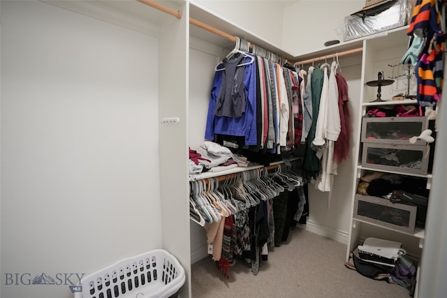 spacious closet featuring light colored carpet