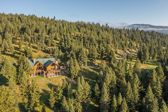 141 Black Wolf Rdg, Big Sky, MT 59730 - photo 78