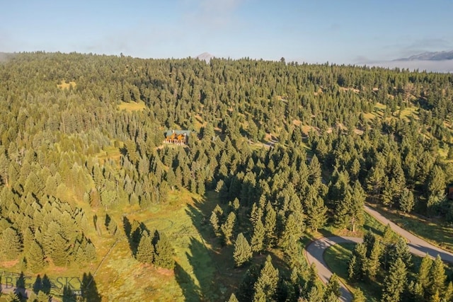 141 Black Wolf Rdg, Big Sky, MT 59730 - photo 79