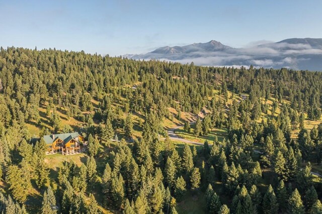 141 Black Wolf Rdg, Big Sky, MT 59730 - photo 80