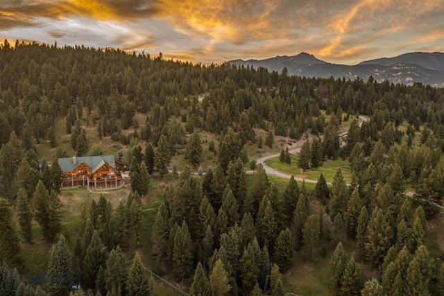141 Black Wolf Rdg, Big Sky, MT 59730 - photo 83