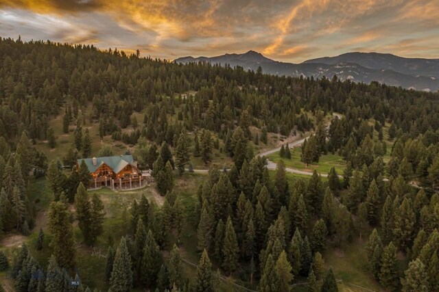 141 Black Wolf Rdg, Big Sky, MT 59730 - photo 84