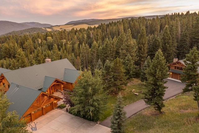 141 Black Wolf Rdg, Big Sky, MT 59730 - photo 5
