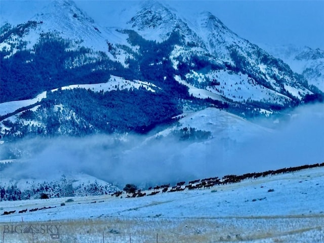 view of mountain feature